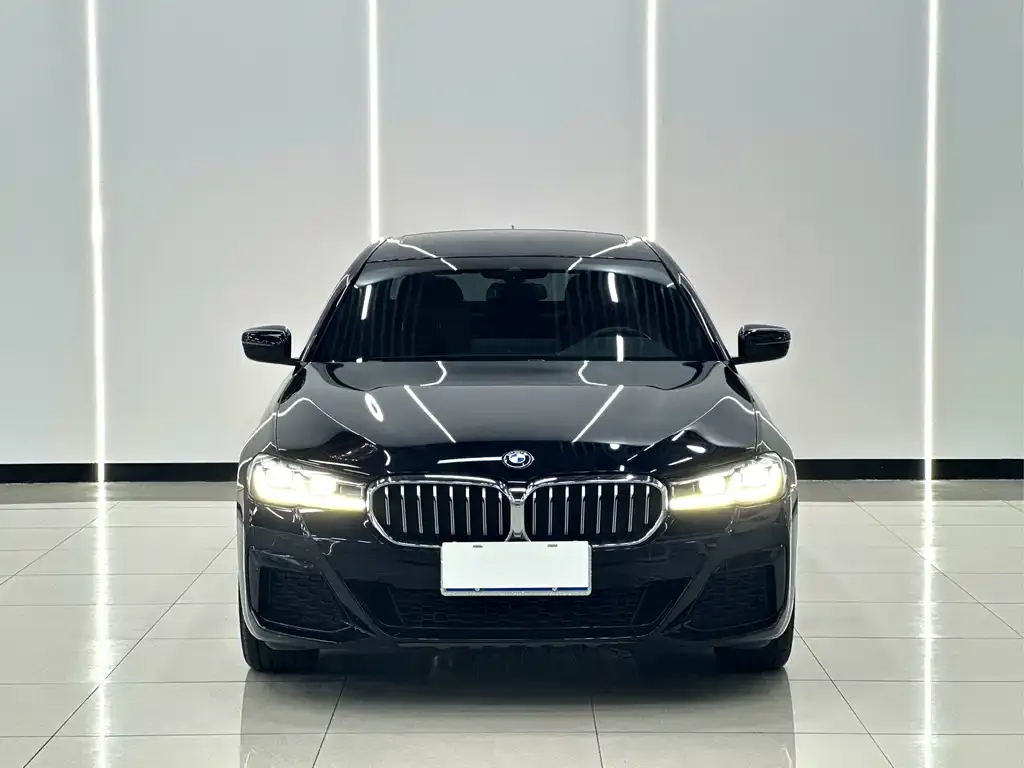 BMW 5 Series 2021 из CN, фото 4