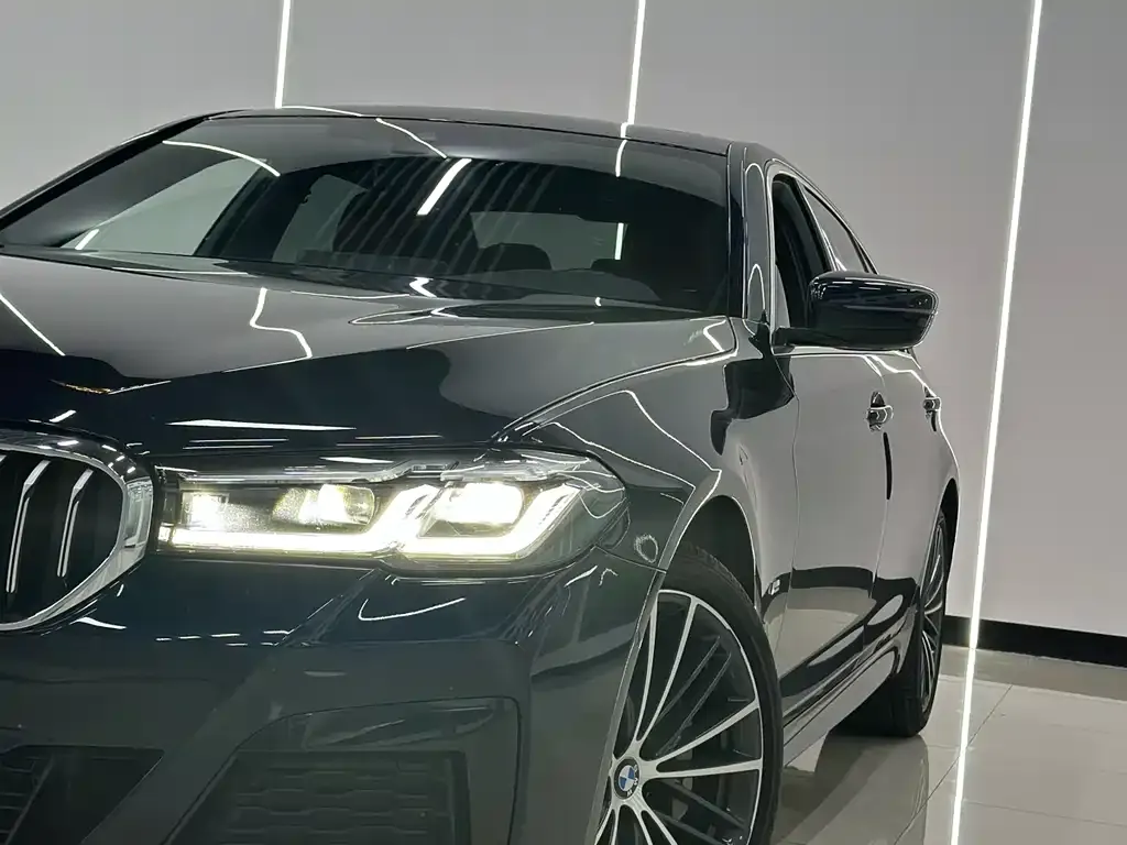 BMW 5 Series 2021 из CN, фото 8