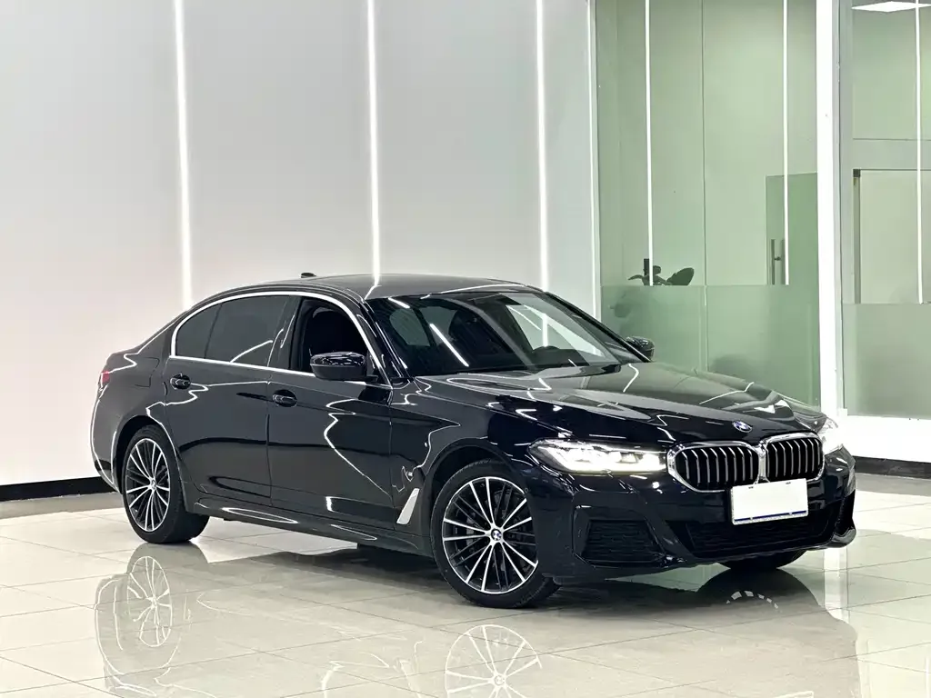 BMW 5 Series 2021 из CN, фото 9