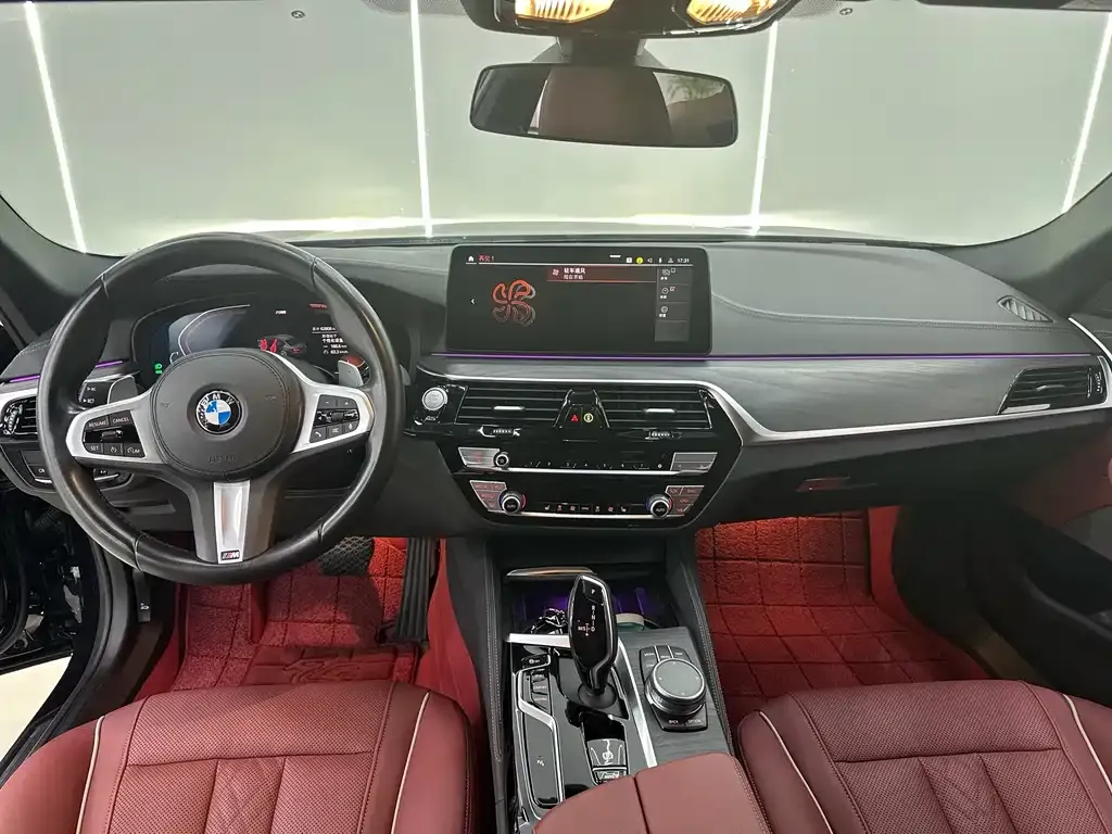 BMW 5 Series 2021 из CN, фото 10