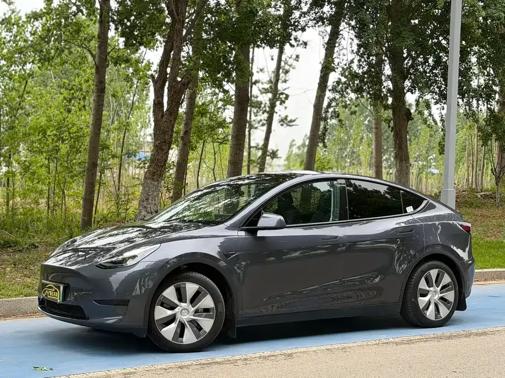 Tesla Model Y — фото 1