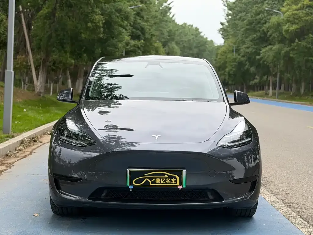 Tesla Model Y — фото 3