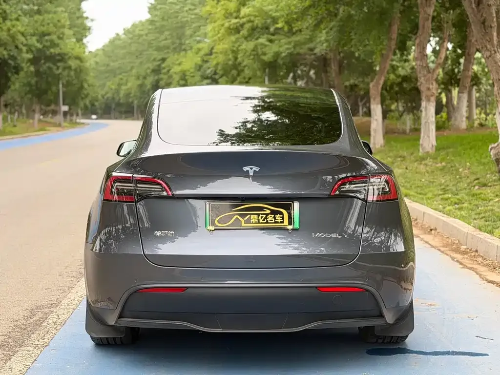 Tesla Model Y — фото 6