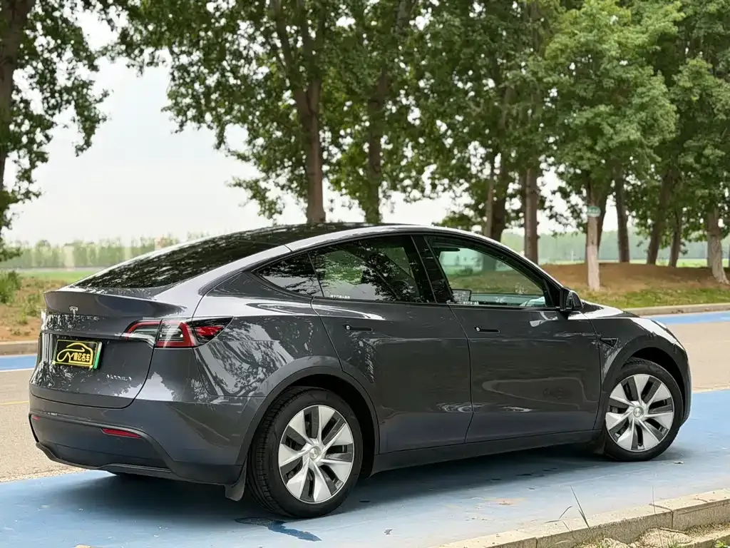 Tesla Model Y — фото 10