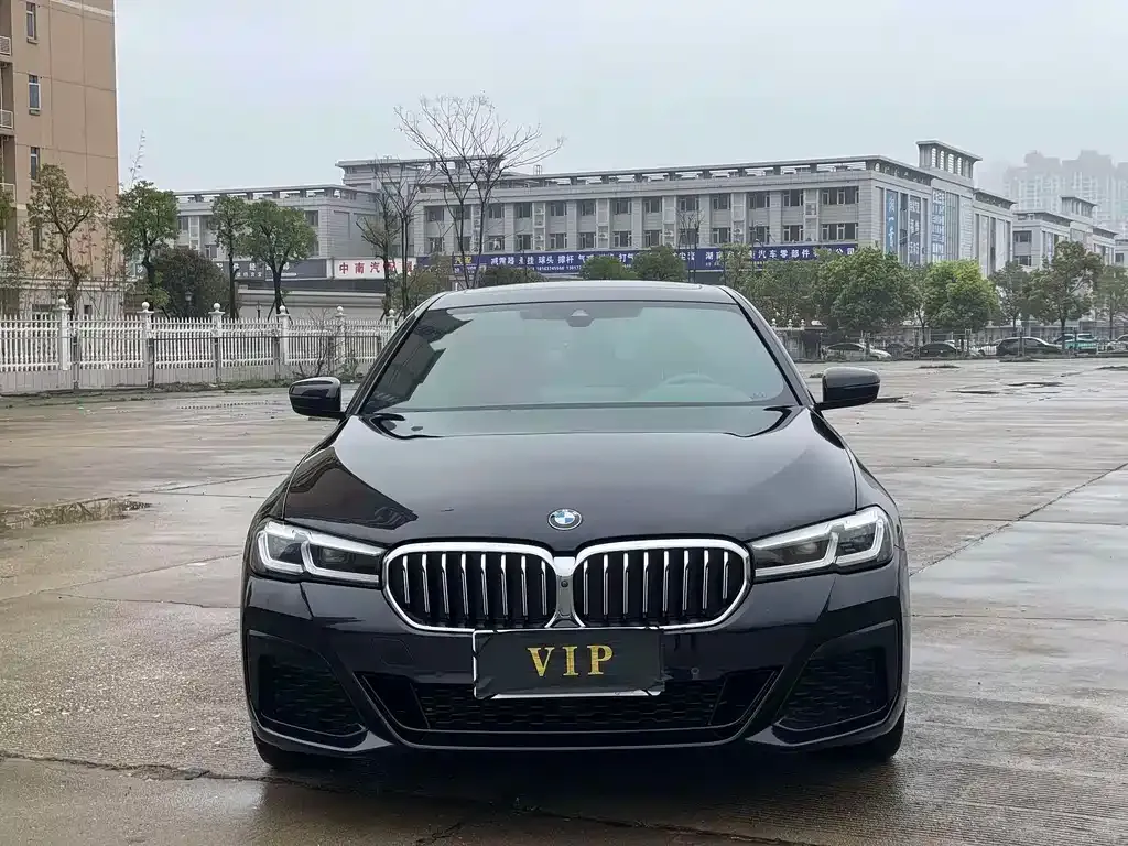 BMW 5 Series 2024 из CN, фото 1