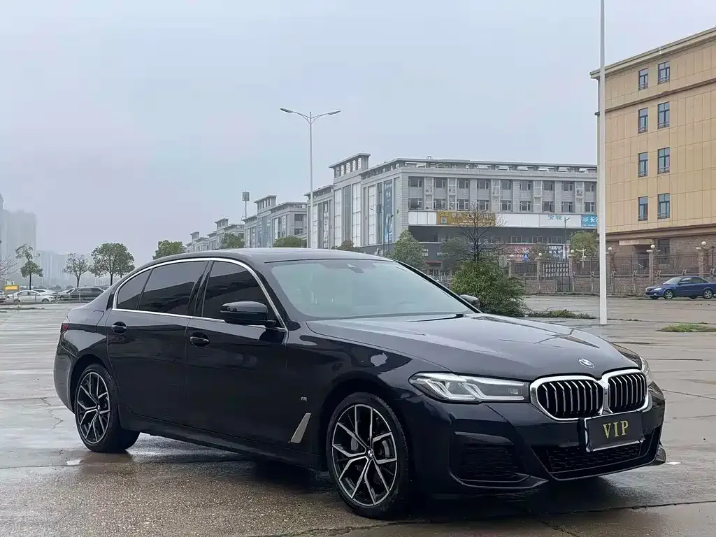 BMW 5 Series 2024 из CN, фото 8