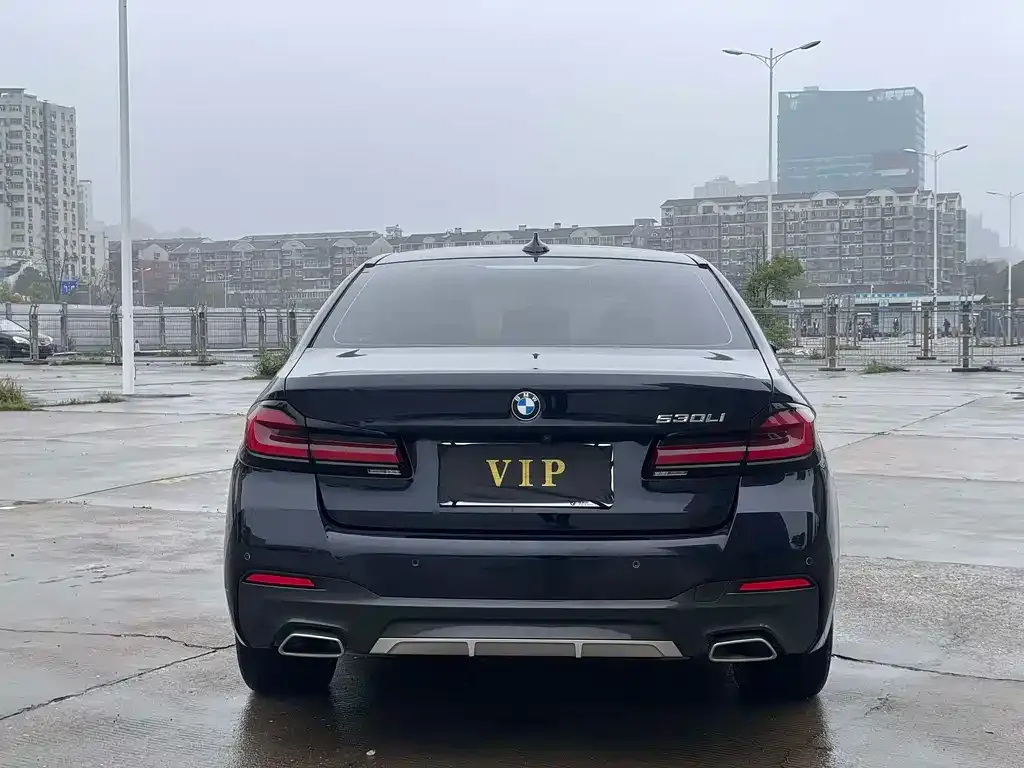 BMW 5 Series 2024 из CN, фото 4