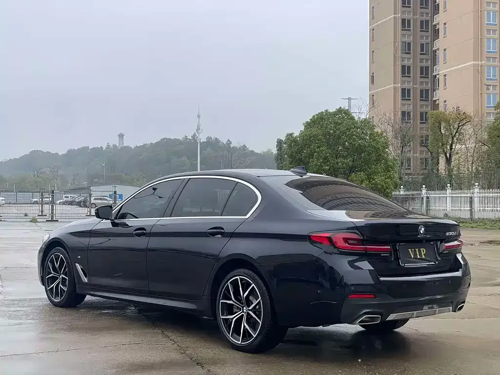 BMW 5 Series 2024 из CN, фото 5