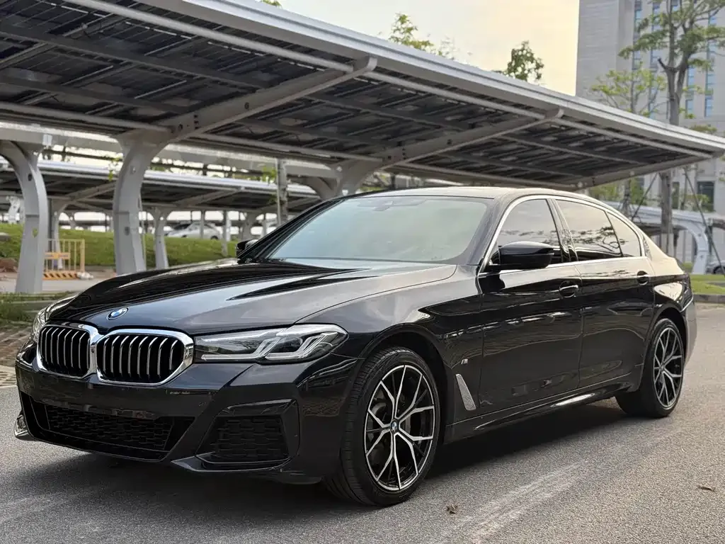 BMW 5 Series 2021 из CN, фото 1