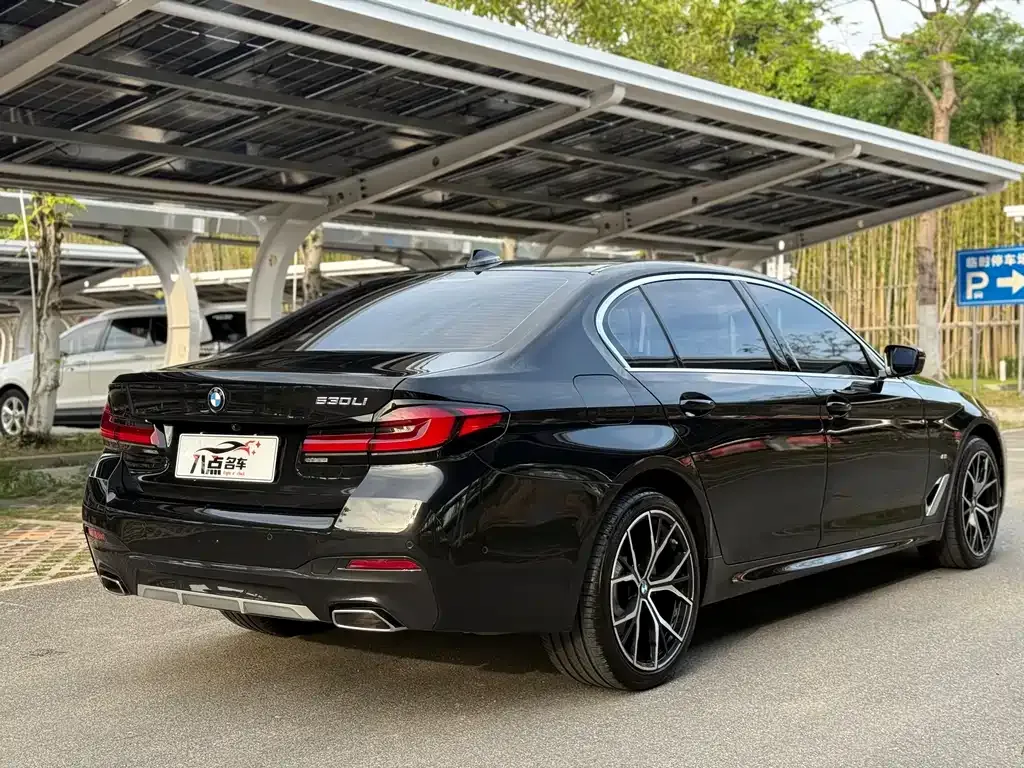 BMW 5 Series 2021 из CN, фото 10