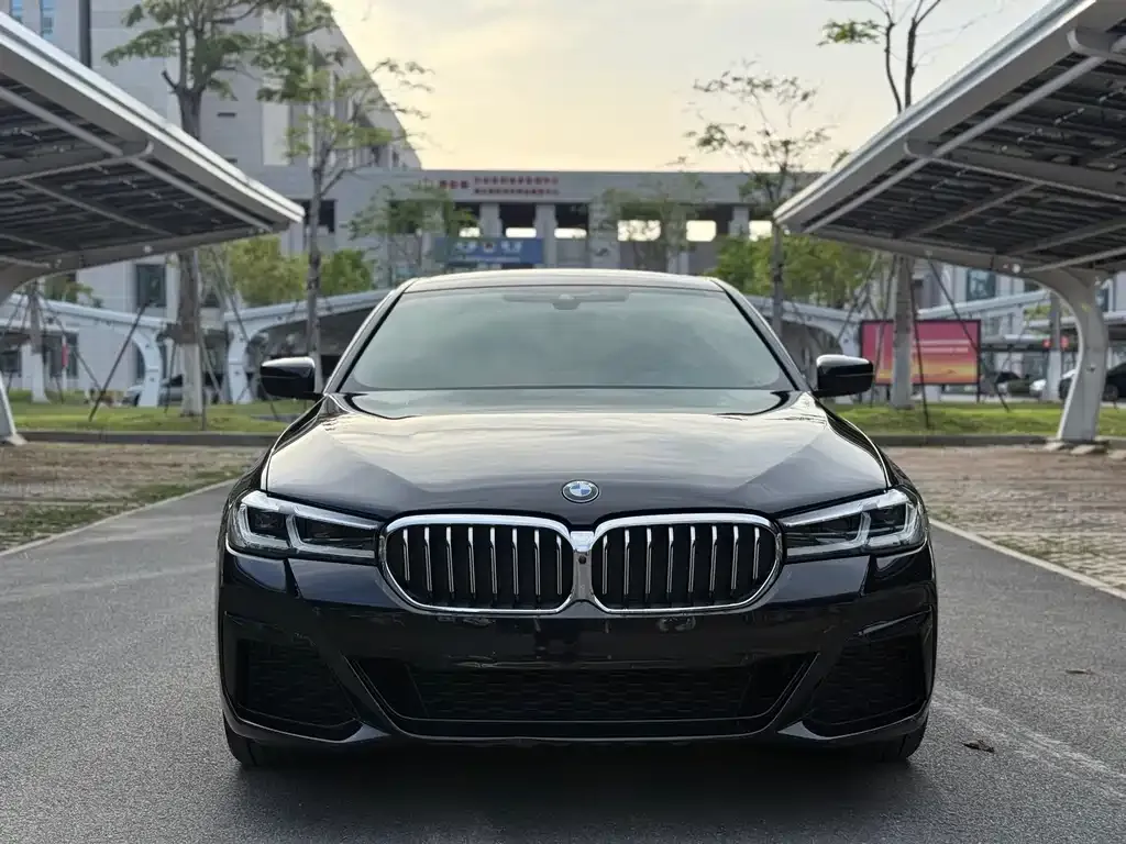BMW 5 Series 2021 из CN, фото 9