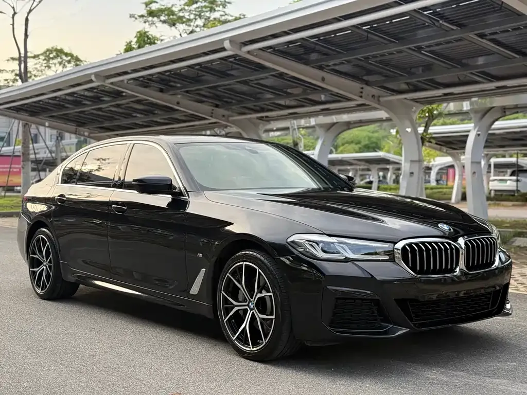 BMW 5 Series 2021 из CN, фото 5