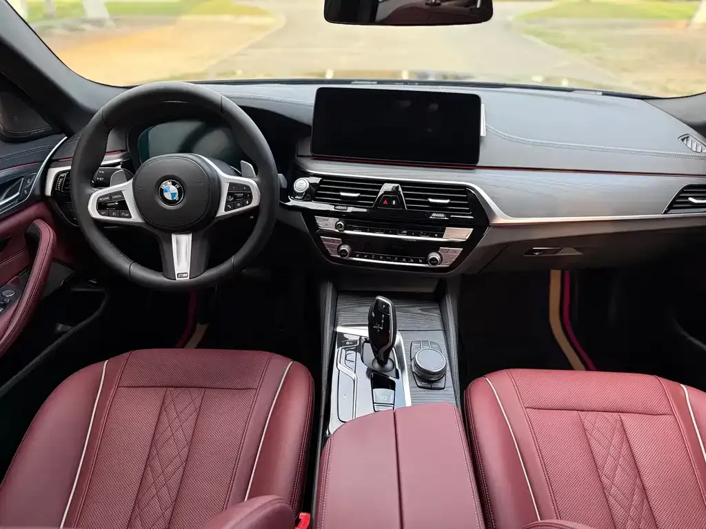 BMW 5 Series 2021 из CN, фото 8