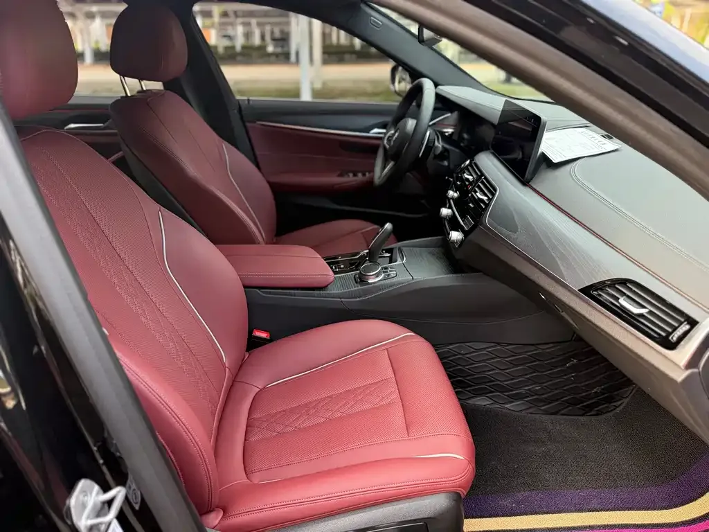 BMW 5 Series 2021 из CN, фото 3