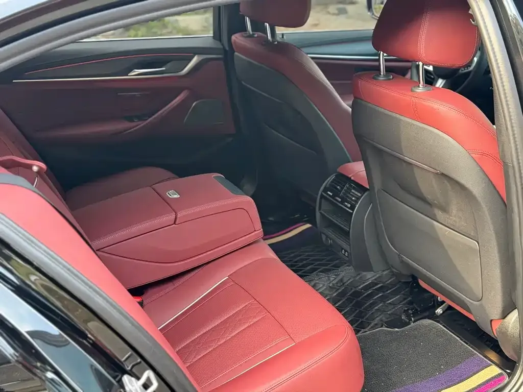 BMW 5 Series 2021 из CN, фото 4