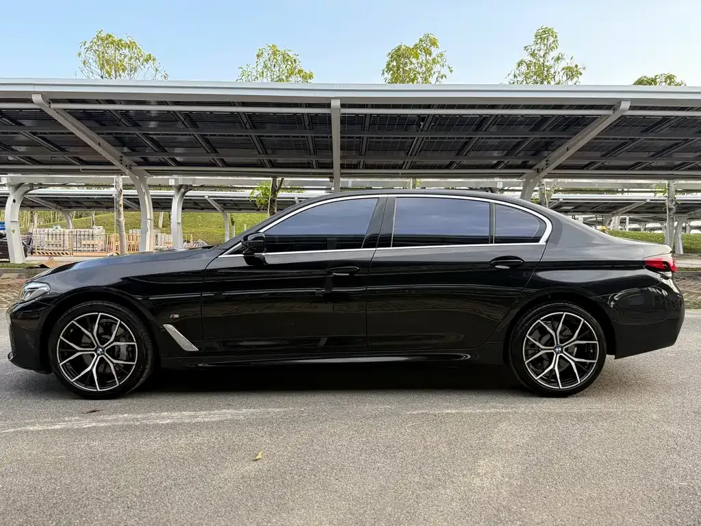 BMW 5 Series 2021 из CN, фото 6