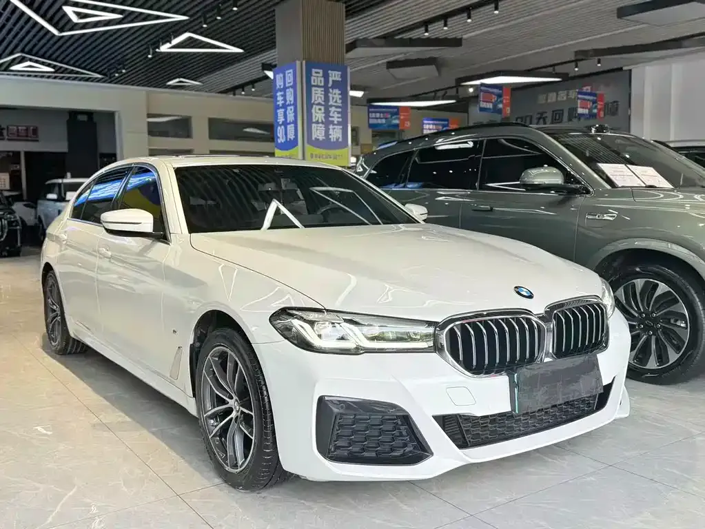 BMW 5 Series 2021 из CN, фото 1