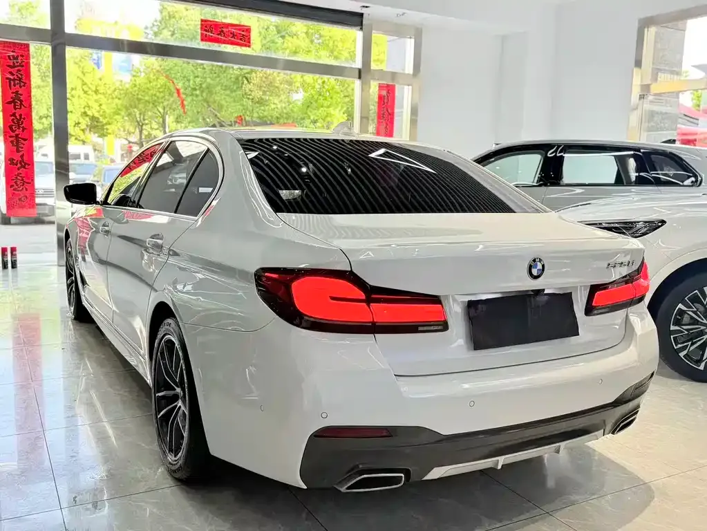BMW 5 Series 2021 из CN, фото 9
