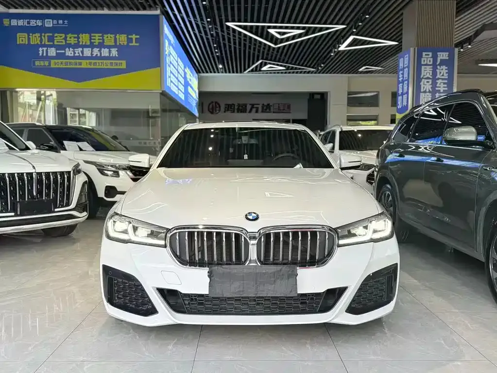 BMW 5 Series 2021 из CN, фото 4