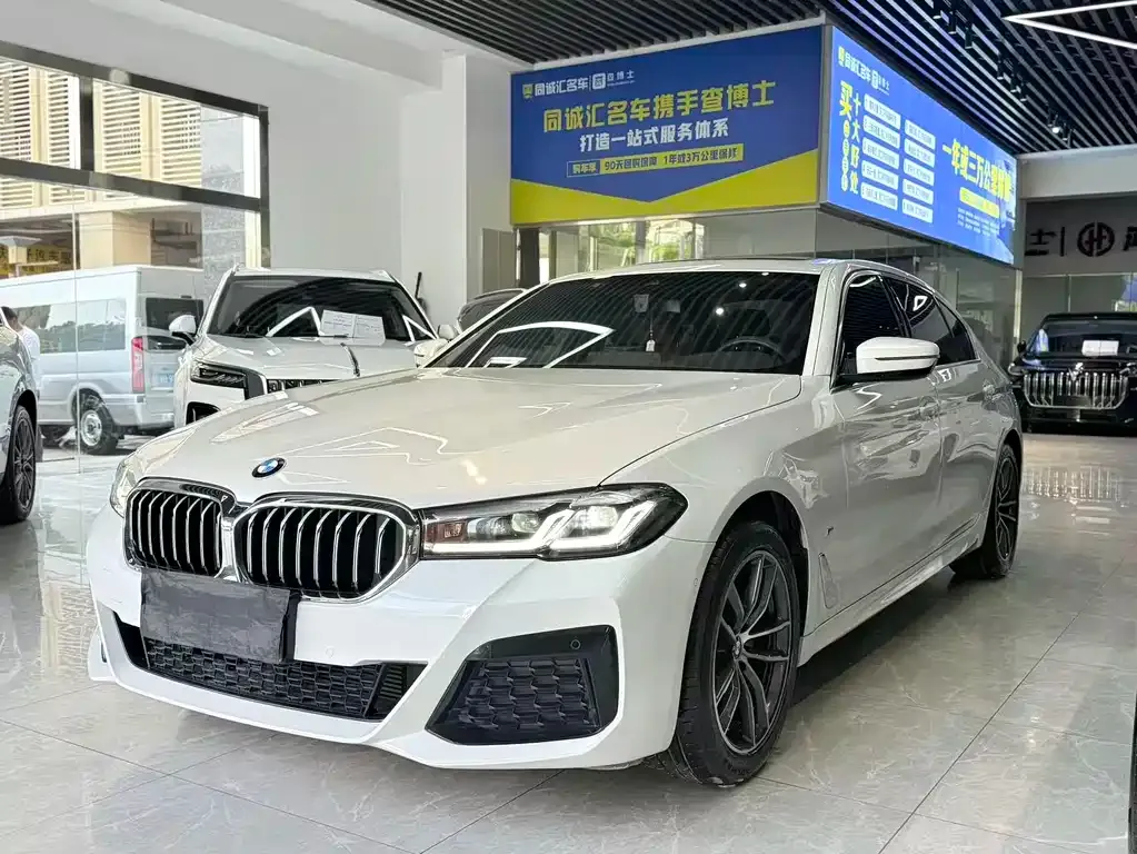 BMW 5 Series 2021 из CN, фото 10