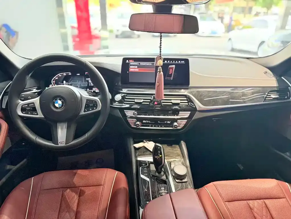 BMW 5 Series 2021 из CN, фото 6