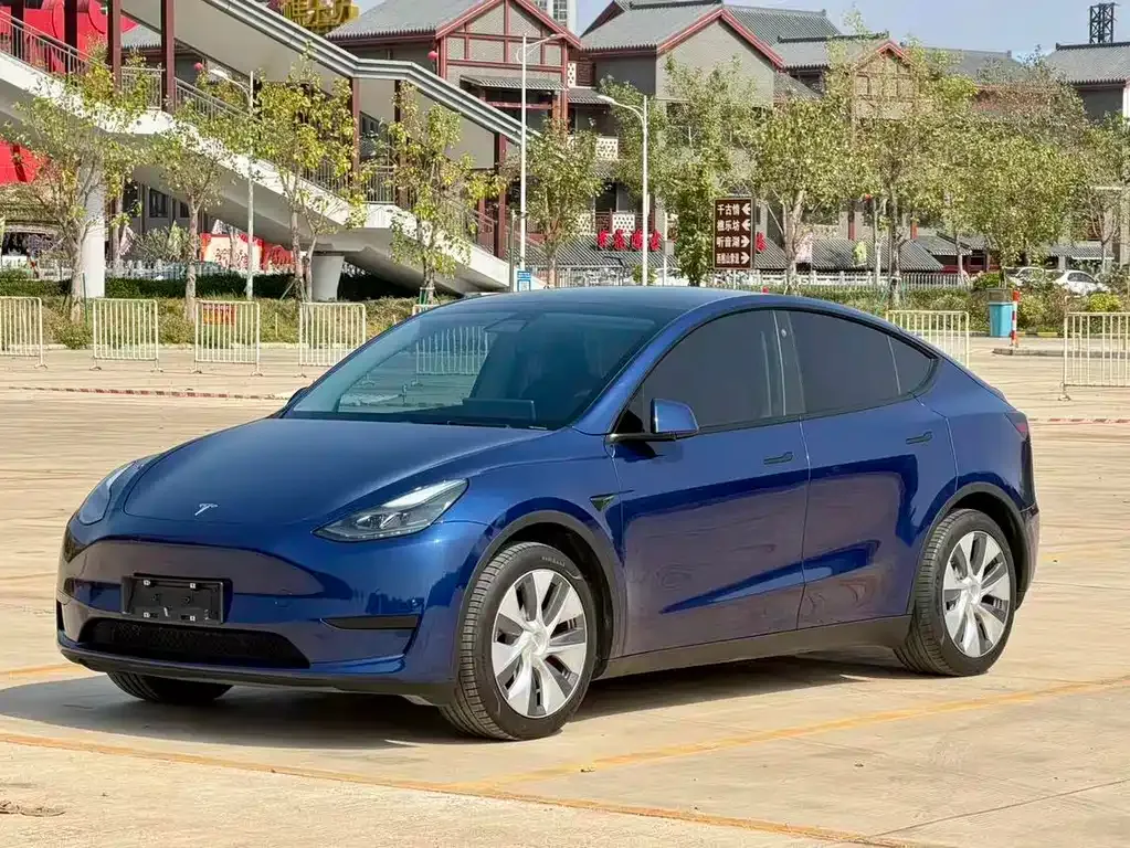 Tesla Model Y 2022 из CN, фото 1