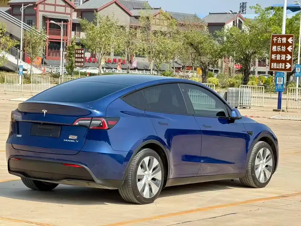 Tesla Model Y 2022 из CN, фото 7