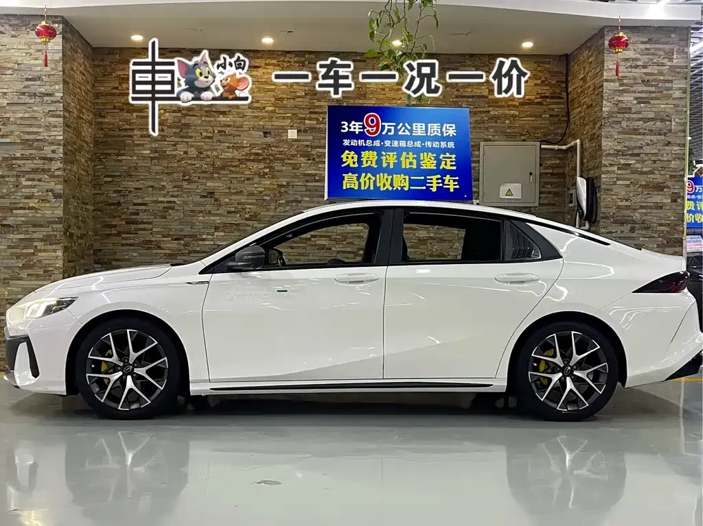 GAC Motor Shadow Leopard — фото 2