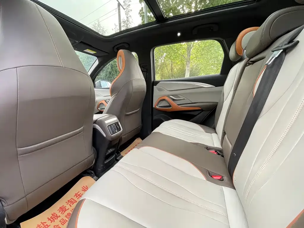 BYD Pro New Energy 2022 из CN, фото 4