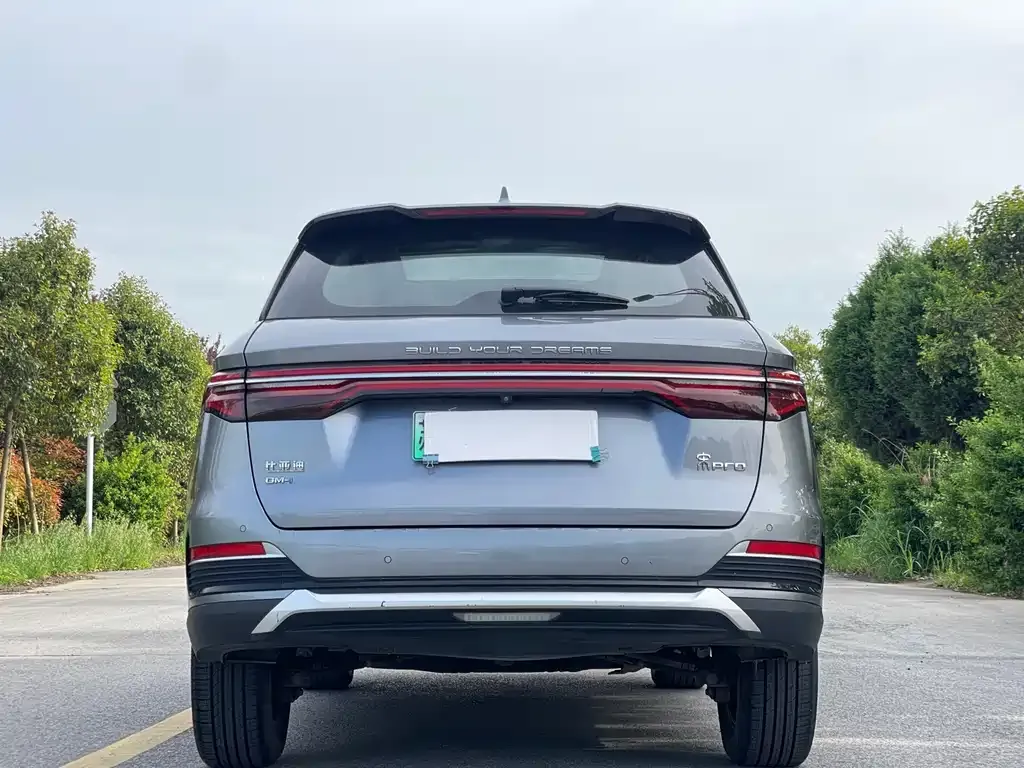BYD Pro New Energy 2022 из CN, фото 6