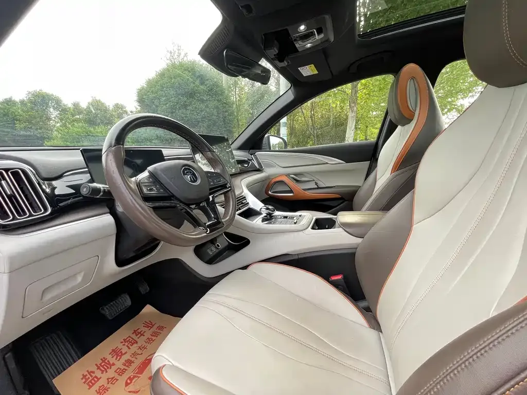 BYD Pro New Energy 2022 из CN, фото 3