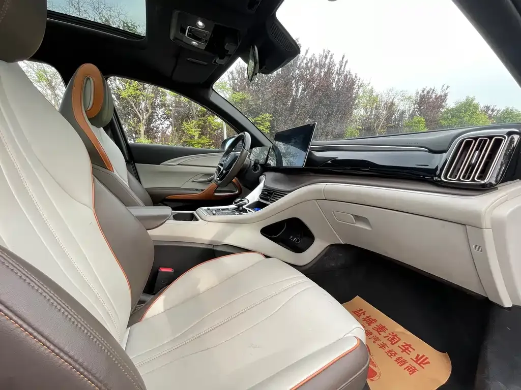 BYD Pro New Energy 2022 из CN, фото 8
