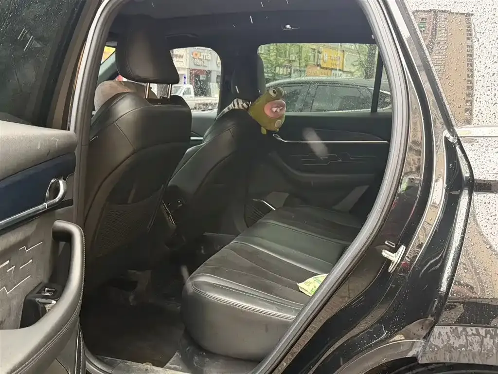 Geely Xingyue L 2024 из CN, фото 9