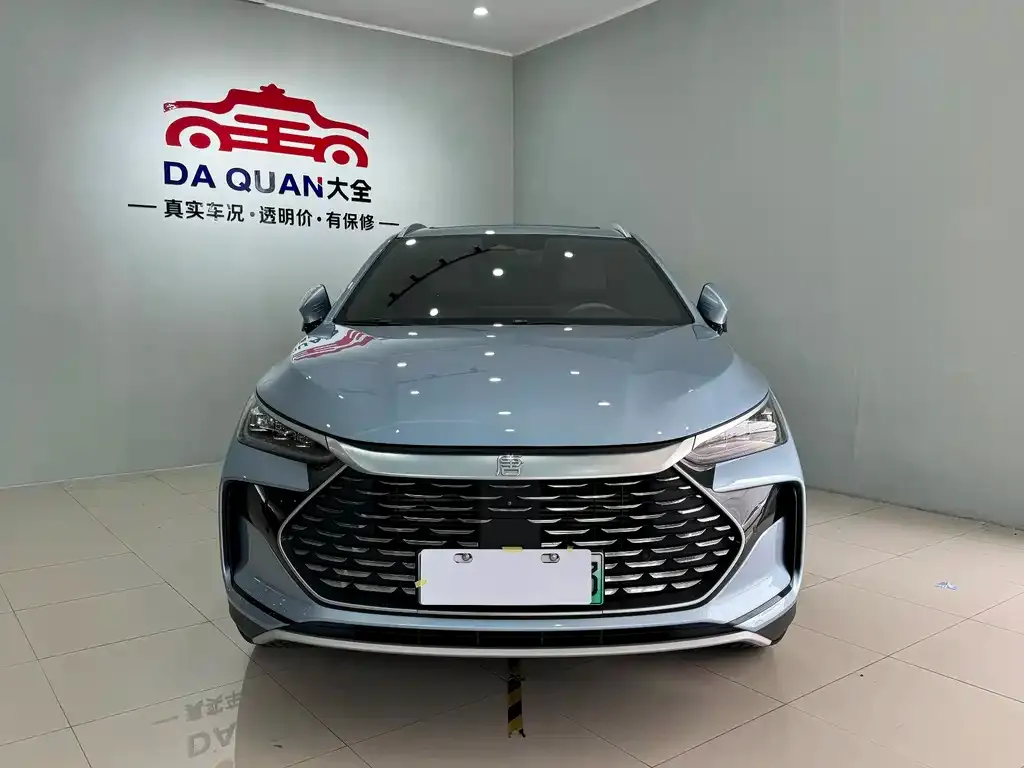 BYD Tang New Energy — фото 2