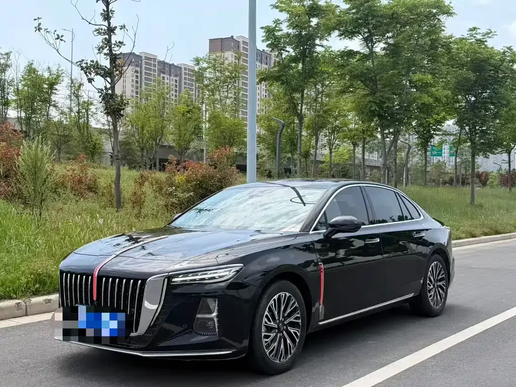 Hongqi H5 2024 из CN, фото 1