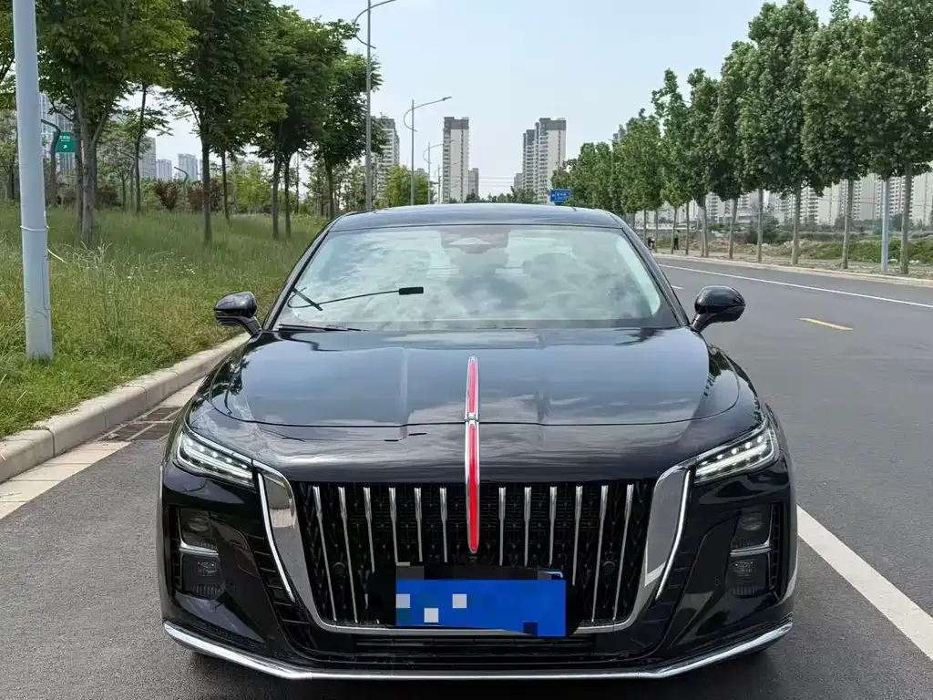 Hongqi H5 2024 из CN, фото 8
