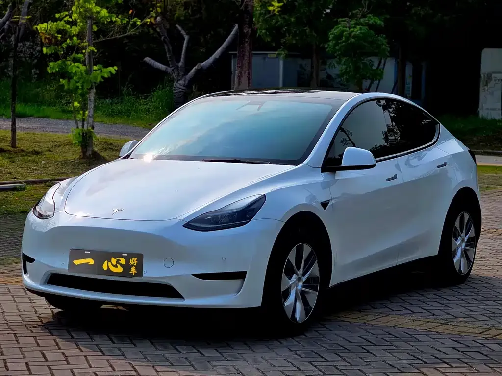 Tesla Model Y 2022 из CN, фото 1