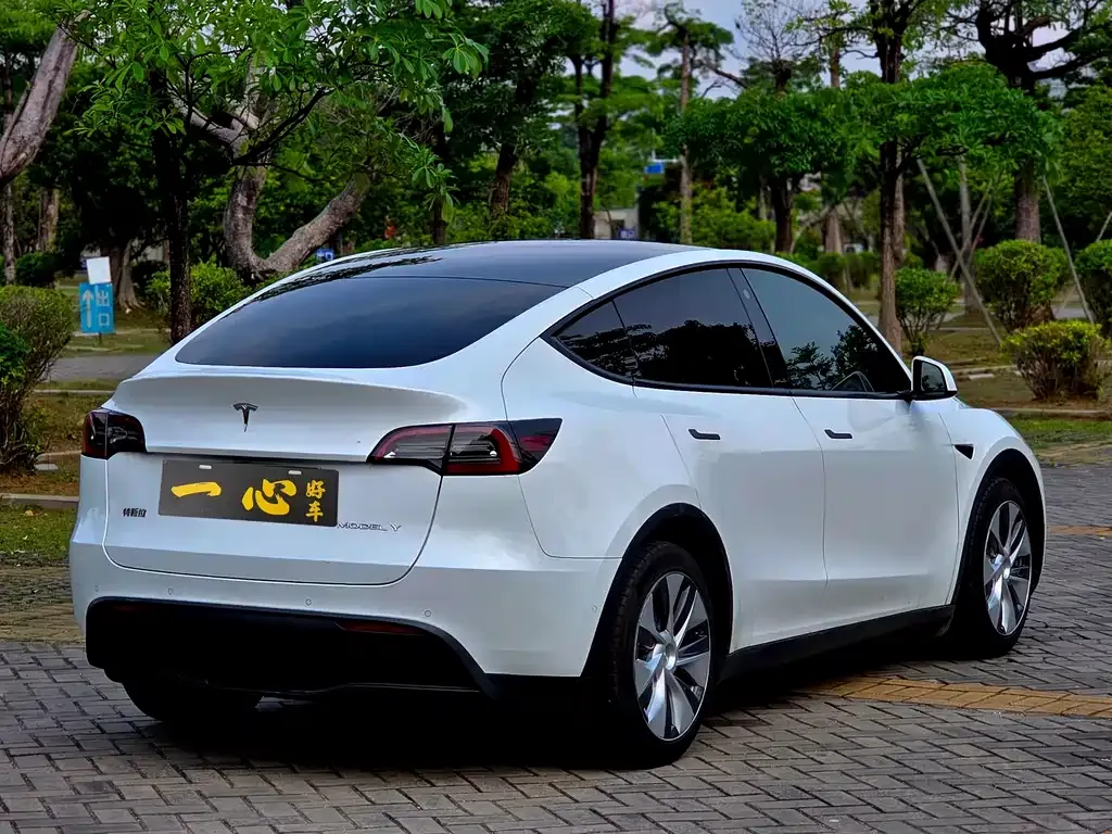 Tesla Model Y 2022 из CN, фото 10