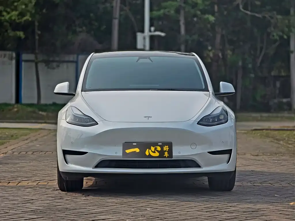 Tesla Model Y 2022 из CN, фото 5