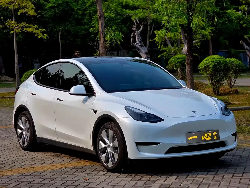 Tesla Model Y 2022 из CN, фото 9