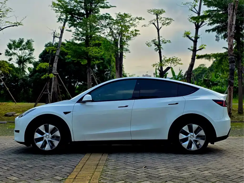 Tesla Model Y 2022 из CN, фото 7