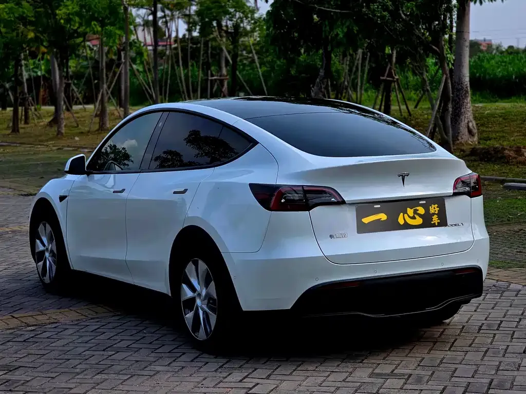 Tesla Model Y 2022 из CN, фото 6