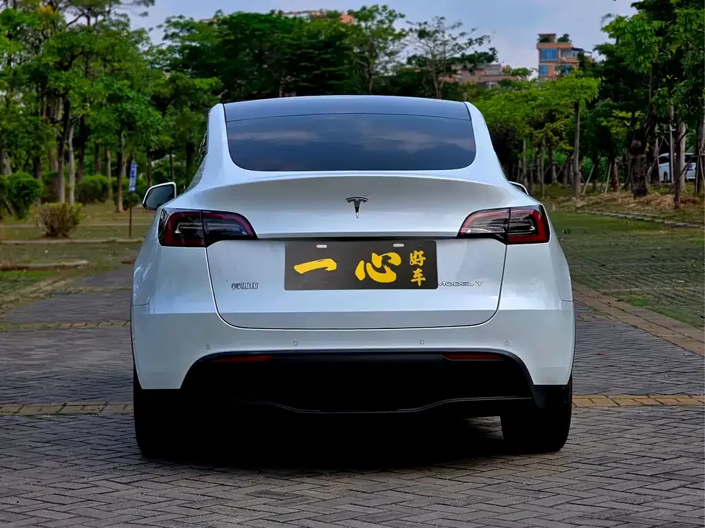 Tesla Model Y 2022 из CN, фото 8