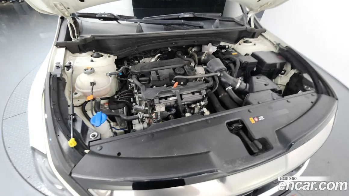 Kia Sportage — фото 5