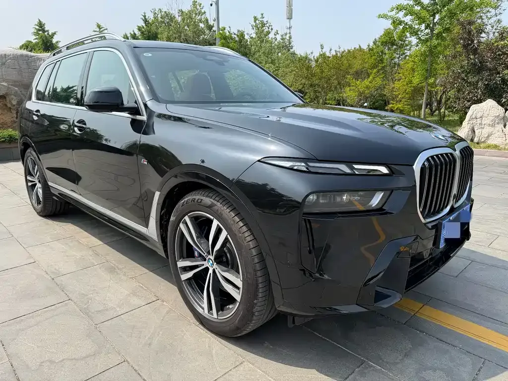 BMW X7 — фото 10