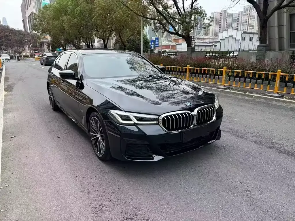 BMW 5 Series 2021 из CN, фото 9