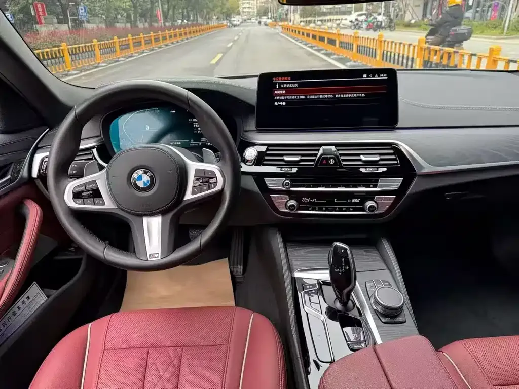 BMW 5 Series 2021 из CN, фото 5