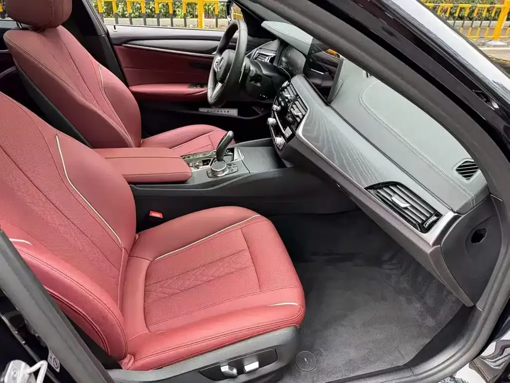 BMW 5 Series 2021 из CN, фото 7