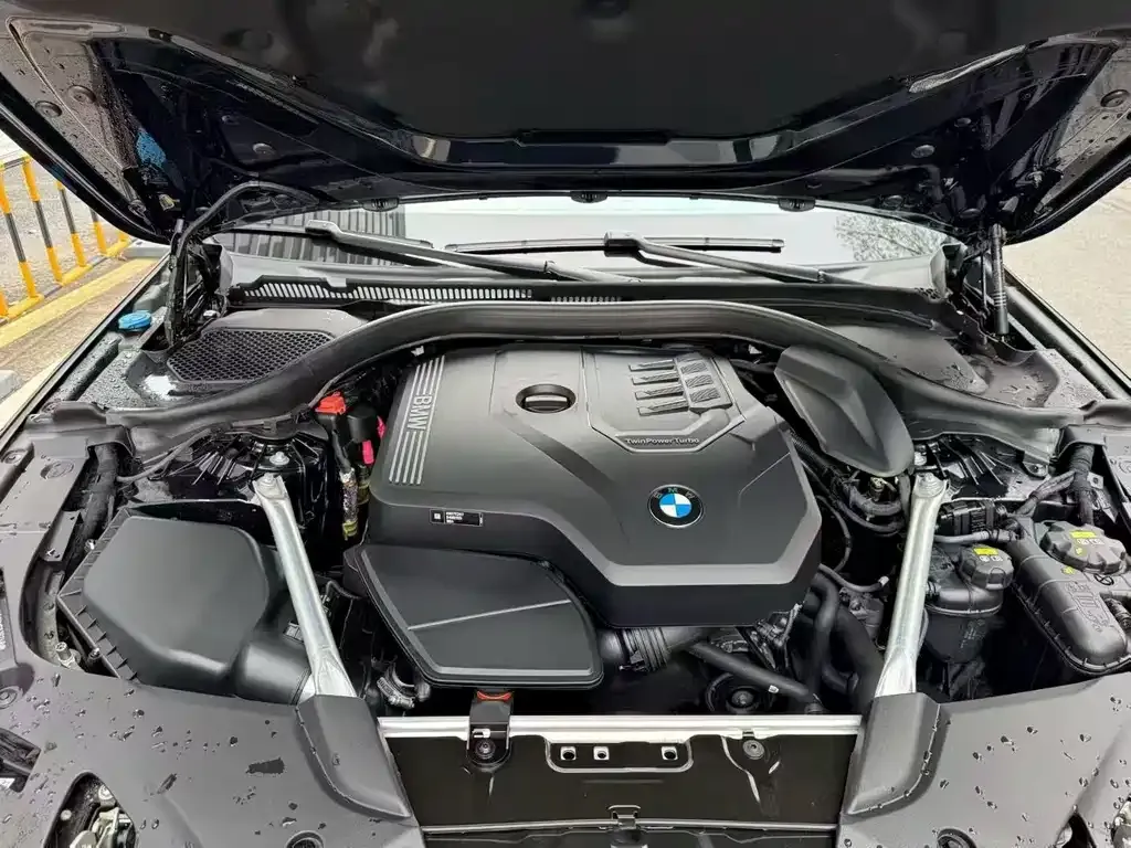 BMW 5 Series 2021 из CN, фото 4