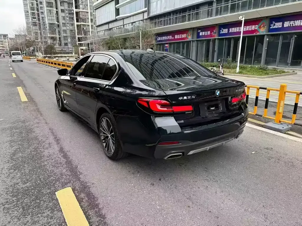 BMW 5 Series 2021 из CN, фото 8